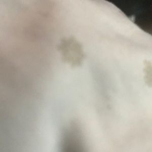 Meet your Posher, Rome